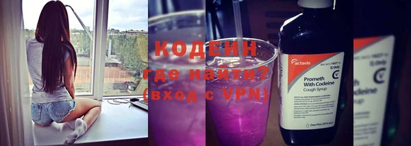прущие грибы Верхний Тагил