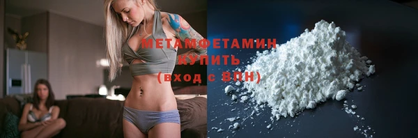 прущие грибы Верхний Тагил