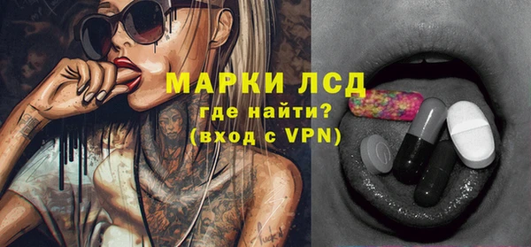 прущие грибы Верхний Тагил